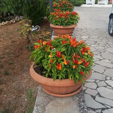 Trullo Del Nonno Casa de Férias *