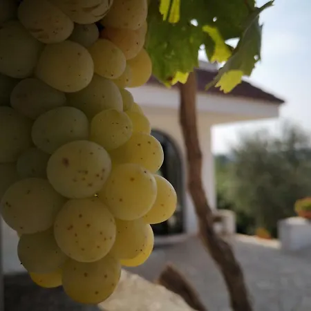 Casa de Férias Trullo Del Nonno
